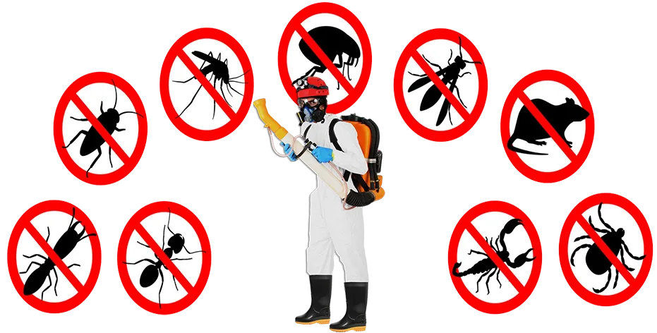 Controle de Praga em Mauá
